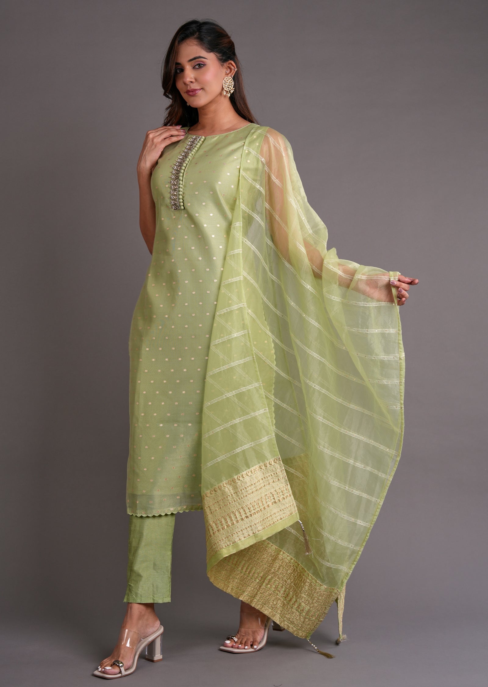 Light Green Organza Straight Cut Suit