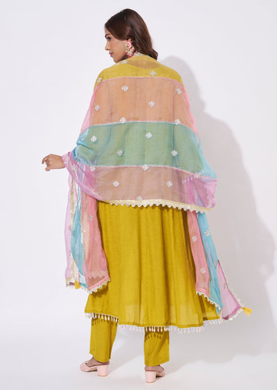 Mehendi Green Chinnon Anarkali Suit