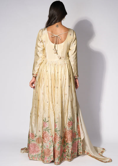 Beige Tissue Anarkali(No Bottom)