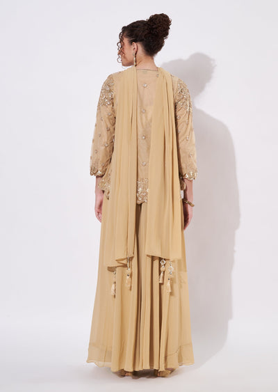 Beige Net Sharara Set