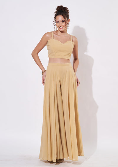 Beige Net Sharara Set