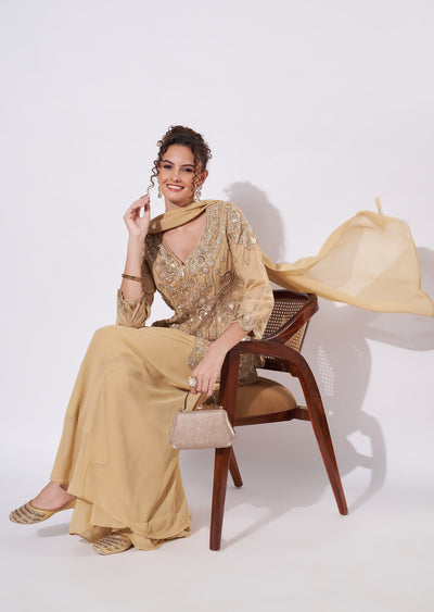 Beige Net Sharara Set