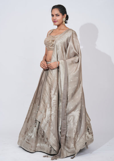 Mouse Tissue Lehenga Set