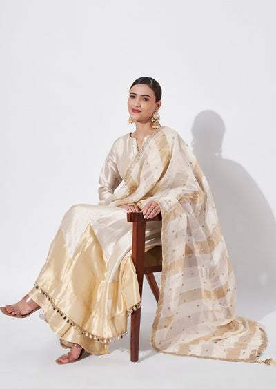 Cream Tissue Anarkali Suit