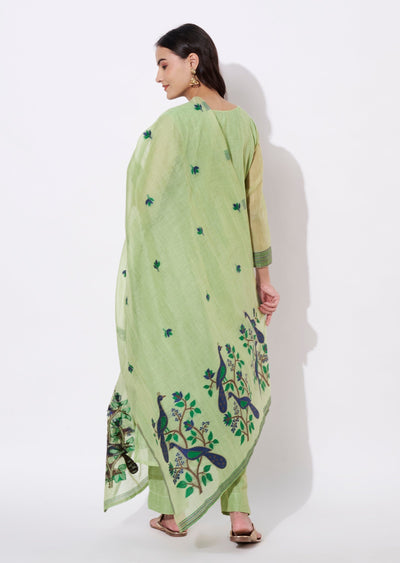 Parrot Green Chanderi Straight cut suit