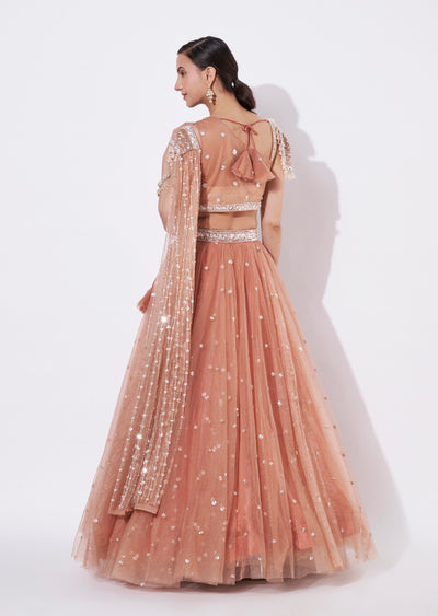 Peach Net Crop top Set