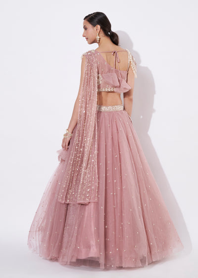 Onion Pink Net Crop top Set