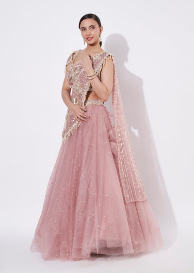 Onion Pink Net Crop top Set