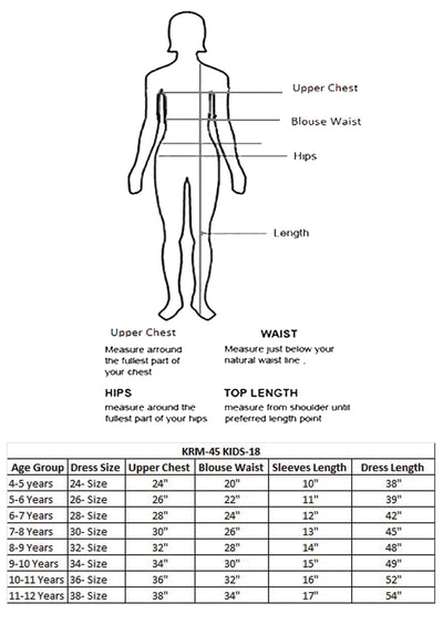 Red Chiffon Ethnic Gown