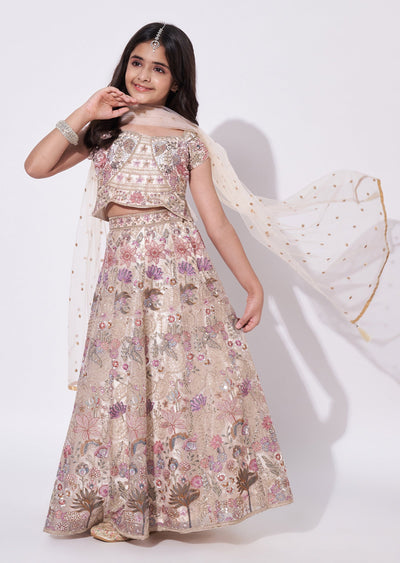 Beige Net Lehenga