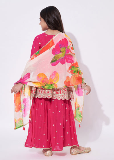 Rani Pink Chinnon Gharara Set
