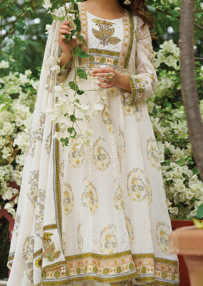 Off White & Yellow Cotton Anarkali Suit