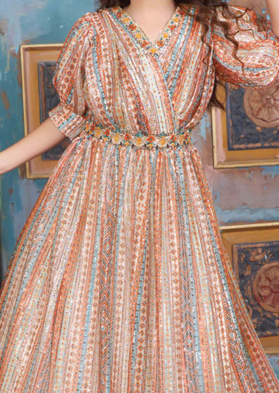 Multi Color Net Embroidered Kids Gown