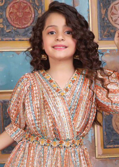 Multi Color Net Embroidered Kids Gown