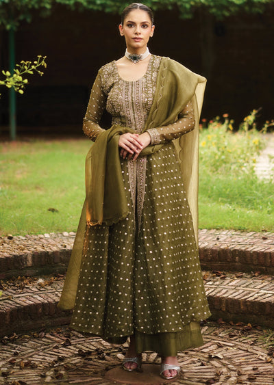 Mehendi Green Tissue Anarkali Suit