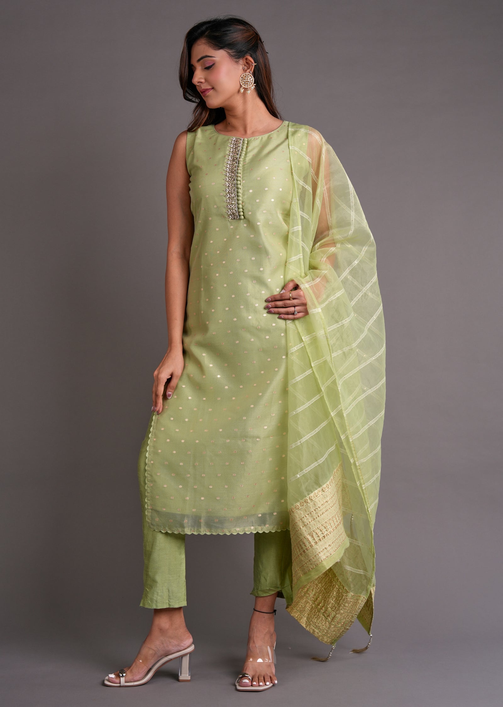 Light Green Organza Straight Cut Suit