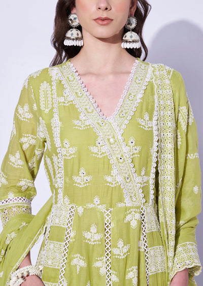 Light Green Cotton Anarkali