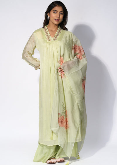 Light Green Chinnon Anarkali