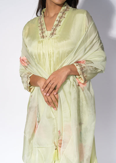 Light Green Chinnon Anarkali