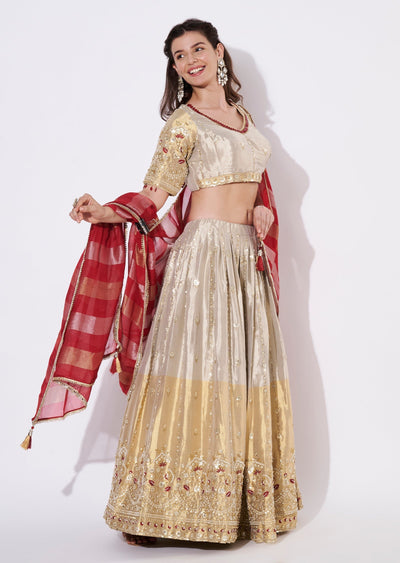 Beige Tissue Lehenga Set