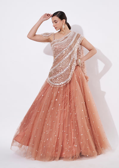 Peach Net Crop top Set