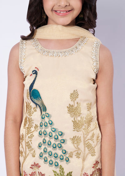 Beige Tissue Girls Sharara