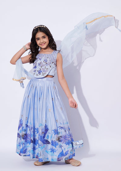 Blue chinnon Girls Ghagra Choli