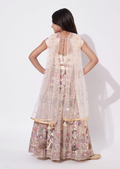 Beige Net Lehenga
